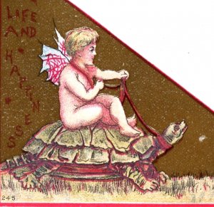 1880 F. Todd Printer's Sample Fantasy Fairy Riding On Turtle Fab! P171