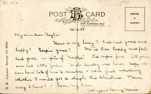 Flowers.   Artist: Catherine Klein