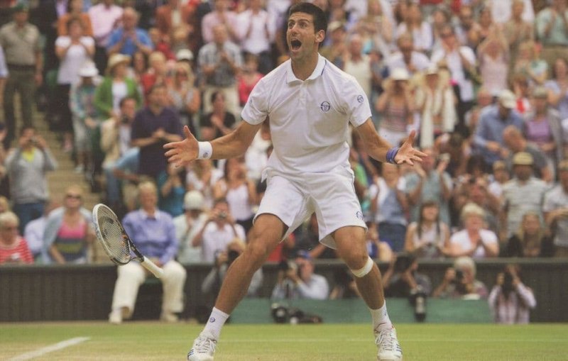 Novak Djokovic vs Jo Tsonga Wimbledon Tennis 2011 Final Postcard