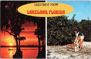 Chrome BIG LETTERS Lakeland Florida FL AH7354