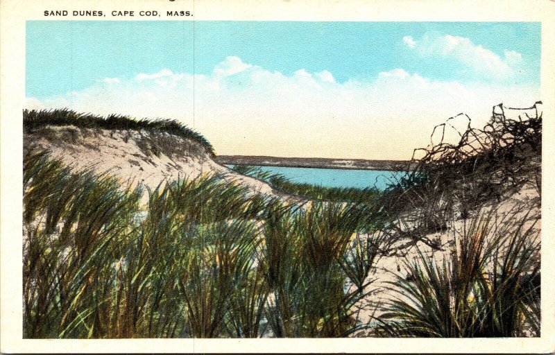 Sand Dunes Cape Cod Massachusetts Ma Mass Vintage Postcard 