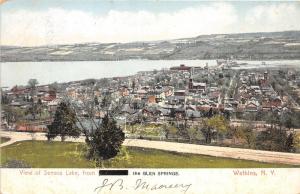 Watkins New York~Seneca Lake Bird's Eye View from Glen Springs~c1905 Postcard