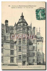 Old Postcard Around Saint Amand Montrond Chateau Meillant The Lion Tower