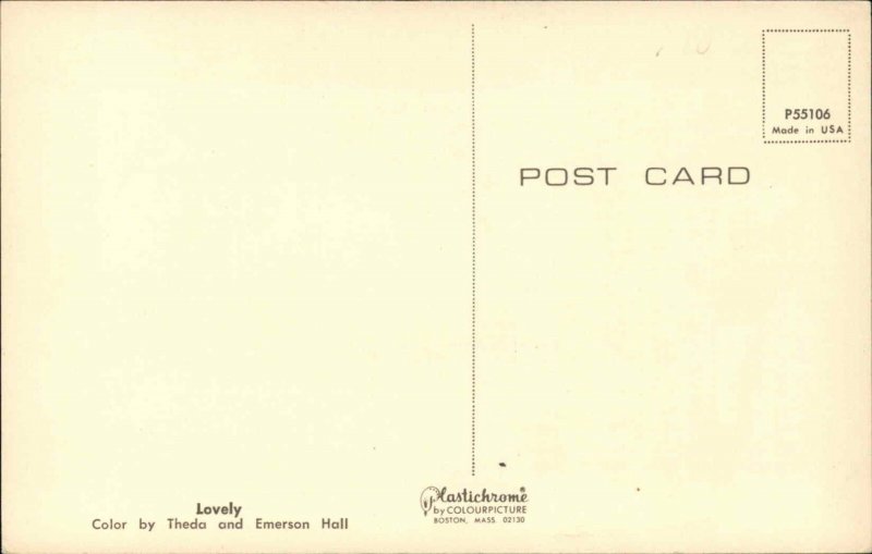 Beautiful Woman & Lovely Ladies: Pinup & Bathing Beauty 17 Vintage Postcard