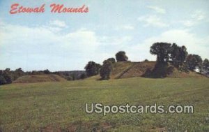 Etowah Indian Mounds - Cartersville, Georgia GA  