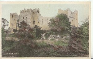 Shropshire Postcard - Ludlow Castle - Ref TZ9300