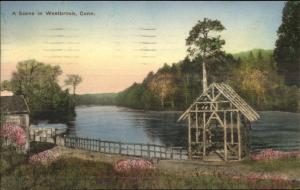Westbrook CT Pretty Scene Hand Colored Postcard