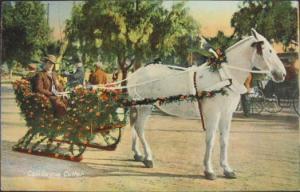 California Cutter Horse & Flower Sleigh c1910 Postcard