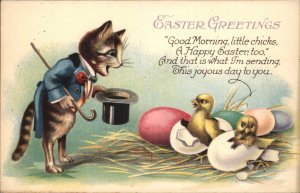 Easter Fantasy Kitty Cat Top Hat Hatching Chicks c1910 Vintage Postcard