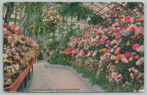 Chicago Illinois~Lincoln Park Conservatory~c1910 Postcard