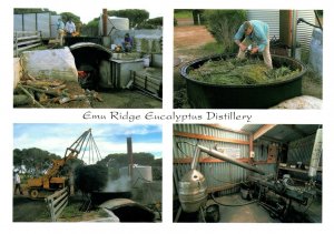 Emu Ridge Commercial Eucalyptus Distillery South Australia Multi View Postcard  
