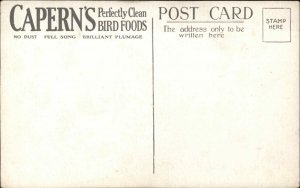 CAPERN'S BIRD SEED AD ADVERTISING Linnet Antique Postcard