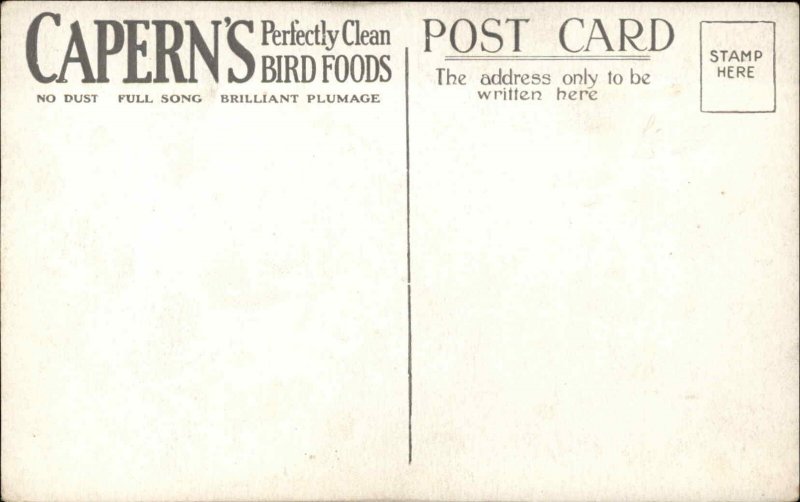 CAPERN'S BIRD SEED AD ADVERTISING Linnet Antique Postcard