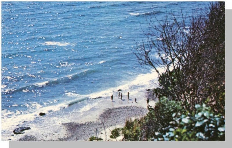 Martha's Vineyard, Massachusetts/MA Postcard, Gay Head Beach/Cape Cod