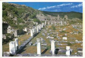 Lot 12 postcards all BERGAMA Turkey