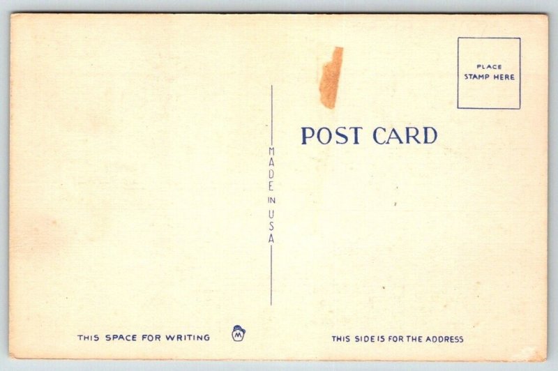 WW2 US Army  Building a Pontoon Bridge  - Postcard