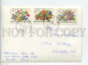 441086 Austria 1974 year Morbisch RPPC fruits and flowers on stamps