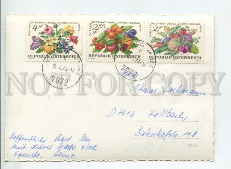 441086 Austria 1974 year Morbisch RPPC fruits and flowers on stamps