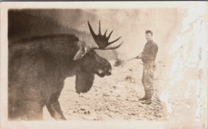 Canada Moose Vintage RPPC B199