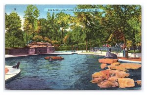 Sea Lion Pool Forest Park St. Louis Missouri c1953 Postcard