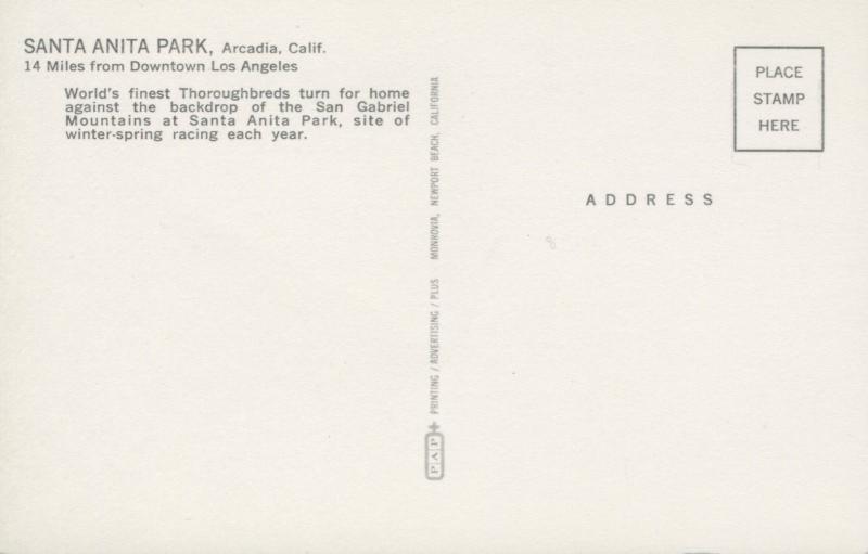 Santa Anita Park Arcadia CA Los Angeles Horse Racing Race Track Postcard D23