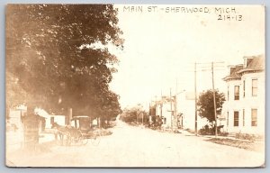 Sherwood Michigan~Main Street Victorian Home~Storefronts~Horse Buggy~1918 RPPC