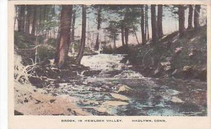 Connecticut Hadlyme Brook in Hemlock Valley Handcolored Albertype