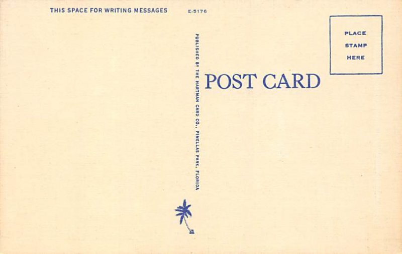 Flame Vine In the Sunshine State - Flowers, Florida FL Postcard