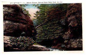 Postcard NATURE SCENE Starved Rock Illinois IL AU9527