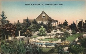 Shelburne Falls Massachusetts MA Franklin Forestry Co c1930s-40s Postcard