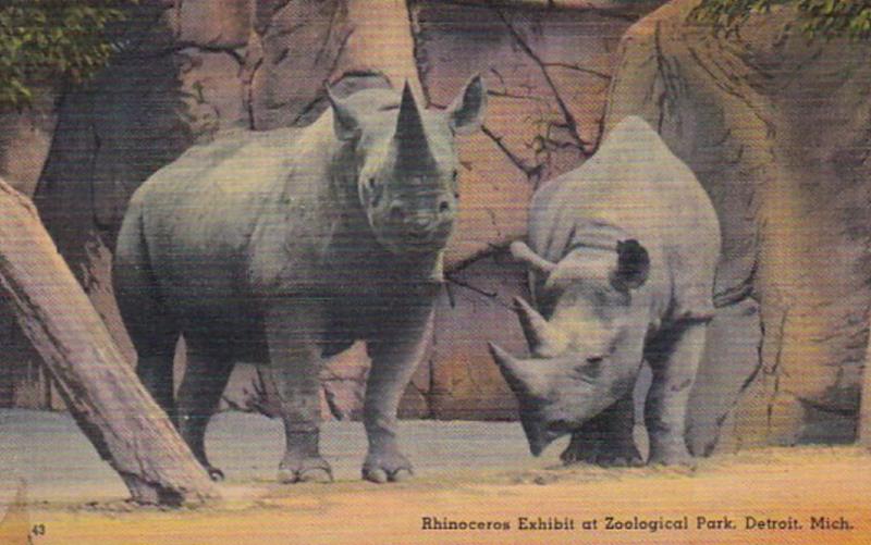 Michigan Detroit Rhinocerus Exhibit At Zoological Park