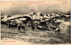 CPA BAGNERES-de-BIGORRE La CHAINE des Pyrénées-Vue des Palomieres (414693)