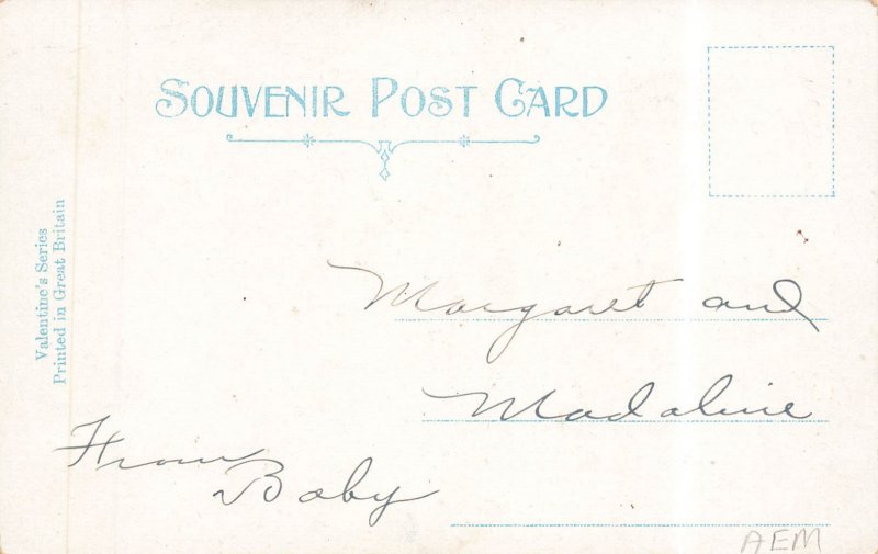 Ice Save Till It Thaws  Louis Wain, Raphael Tuck, Postcard