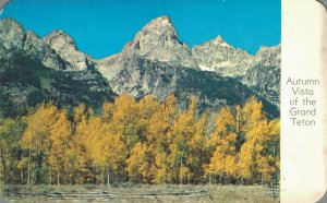 USA Autumn Vista of the Grand Teton Wyoming Vintage Postcard 07.85
