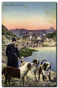 Old Postcard Dog Dogs of St Bernard