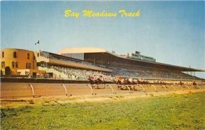 BAY MEADOWS TRACK Horse Racing SAN MATEO, CA Race track c1950s Vintage Postcard 