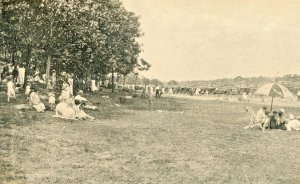 Postcard Early View of Picnic Grove, Rocky Neck State Park, East Lyme, CT. L6