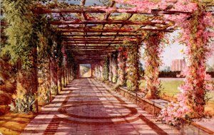 England Hever Castle Pergola In Italian Garden