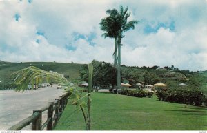 CARACAS , Venezuela , 50-60s; Club Campestre Sartenejas, Monte Elena