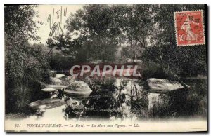 Old Postcard Fontainebleau La Foret La Mare Aux Pigeons