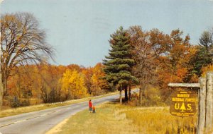 Manistee National Forest Scene Cadillac MI 