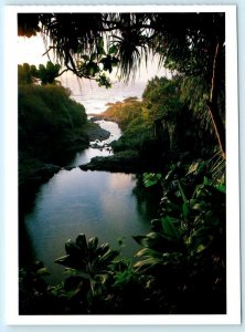 David Muench HALEAKALA NATIONAL PARK, HI~ Seven Pools Oheo Gulch 5x6.5 Postcard