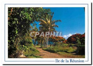 Modern Postcard Reunion Island Coconut Sainte Marie