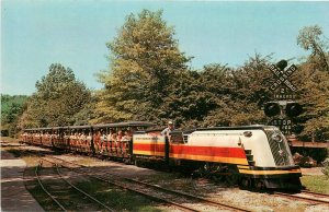 Postcard 1950s Detroit Michigan Miniature railroad Intramural zoo Dexter 24-5612