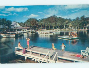 Pre-1980 SILVER SPRINGS SCENE Ocala Florida FL AF9799