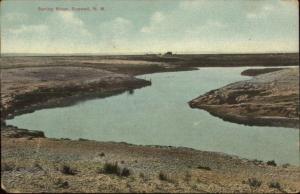 Roswell NM Spring River c1910 Postcard