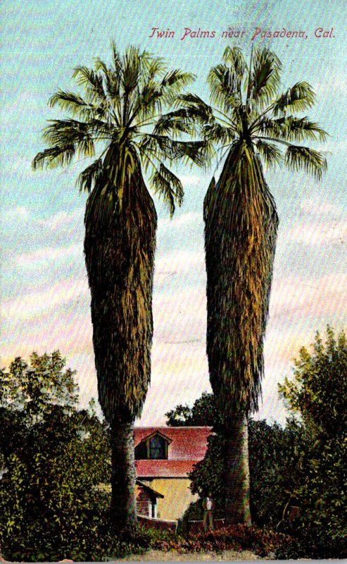 California Pasadena The Twin Palms 1908