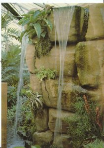 Cheshire Postcard - Jungle Cascade in the Palms Tropical Oasis - Nantwich  ZZ319