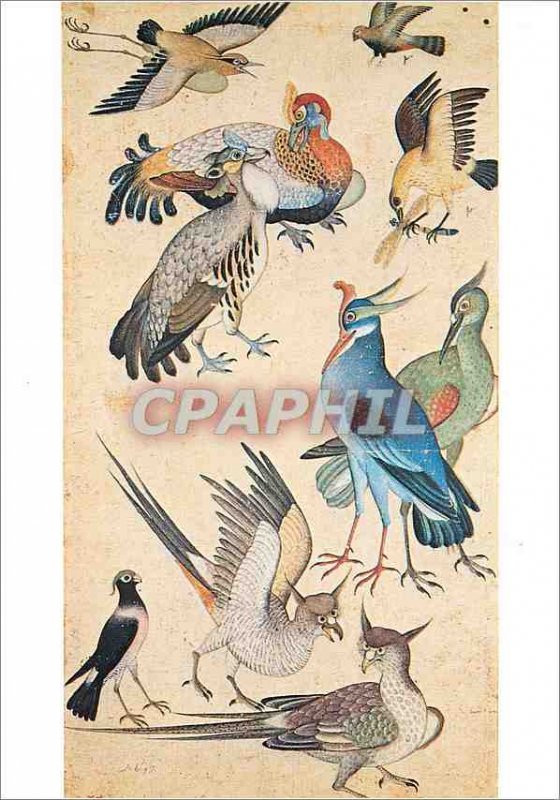 Modern Postcard Paris Musee Guimet Ten Birds Miniature Signed Miskina India M...