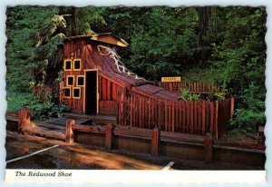 PIERCY, CA  Confusion Hill REDWOOD SHOE Roadside  4 x 6 1978 Postcard